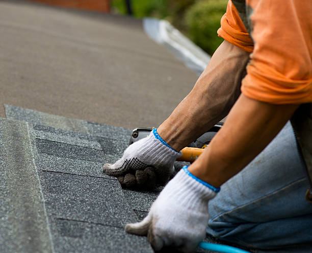 Best Roof Restoration Services  in Columbus Grove, OH