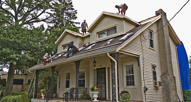 Best Commercial Roof Installation  in Columbus Grove, OH