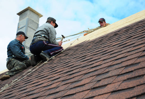 Best Flat Roof Repair Services  in Columbus Grove, OH